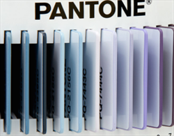 Pantone Plus Plastic Standard Chips Collection PSC-PS1755 Pantone