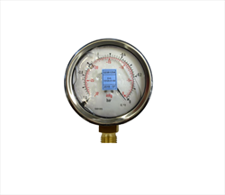 Đồng hồ đo áp suất AD100 WITT Gas